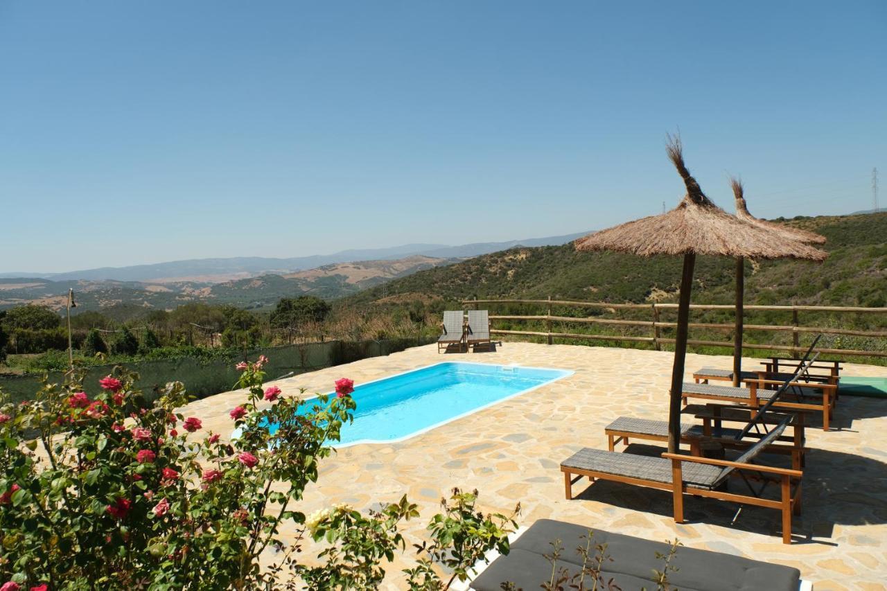 The Wild Olive Andalucia Agave Guestroom Casares Eksteriør bilde