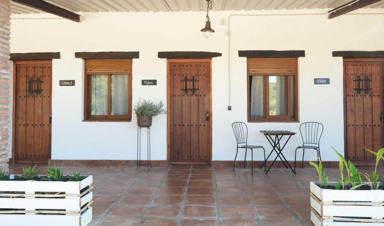 The Wild Olive Andalucia Agave Guestroom Casares Eksteriør bilde
