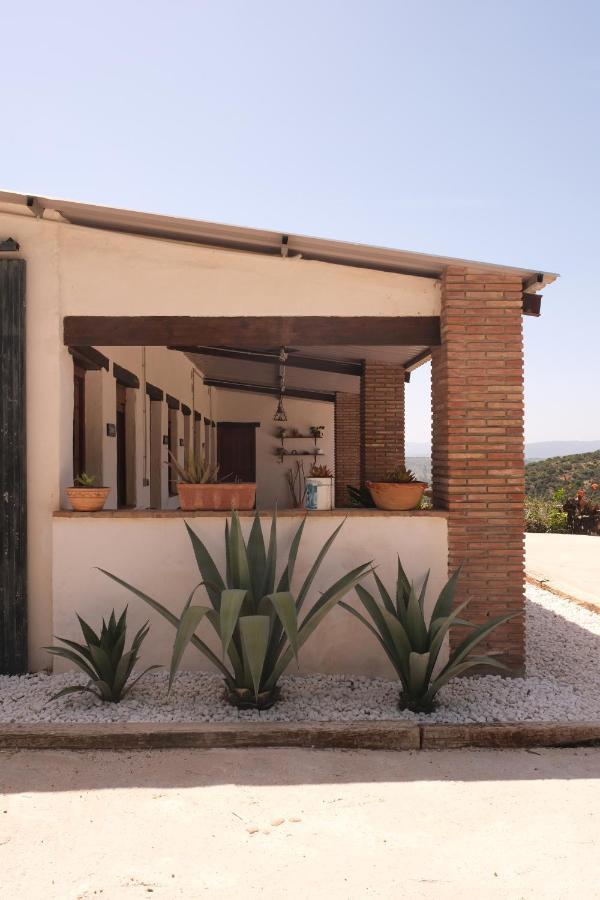 The Wild Olive Andalucia Agave Guestroom Casares Eksteriør bilde
